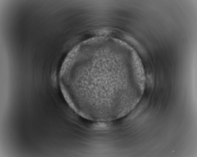 X0000094230381200711161914