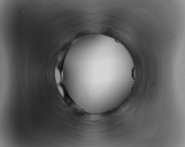 X0000094230384200711161914