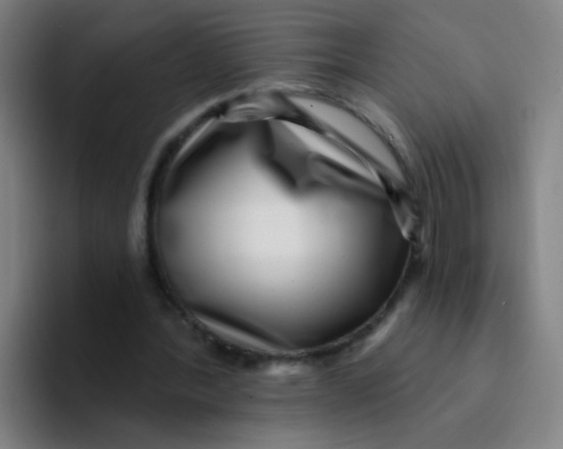 X0000094230388200711161913