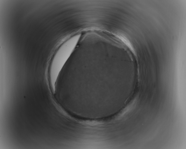 X0000094230389200711161913