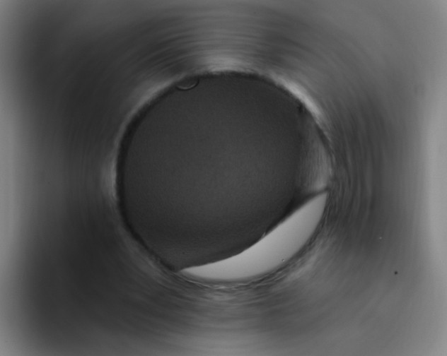 X0000094230391200711161913