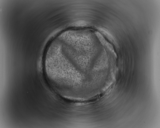 X0000094230392200711161913