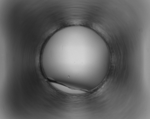 X0000094230394200711161913