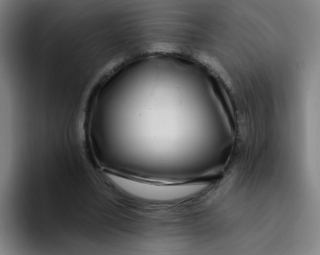 X0000094230395200711161913