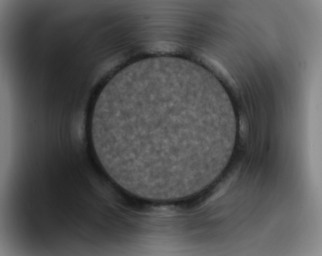 X0000094230396200711161913