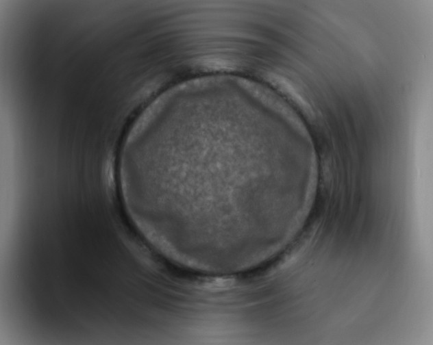 X0000094230398200711161913