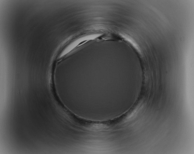 X0000094230399200711161913