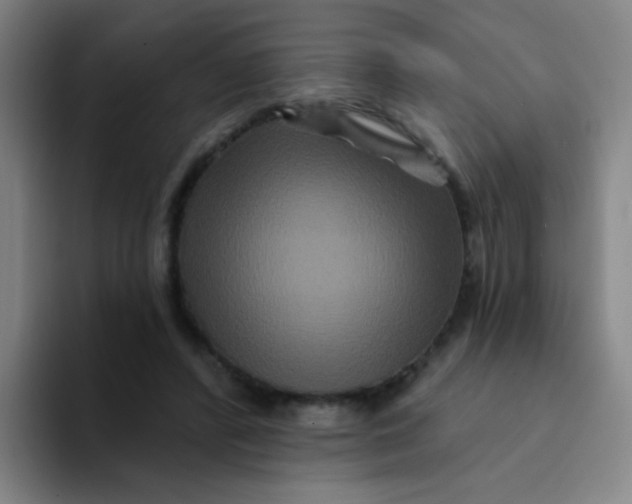 X0000094230400200711161913