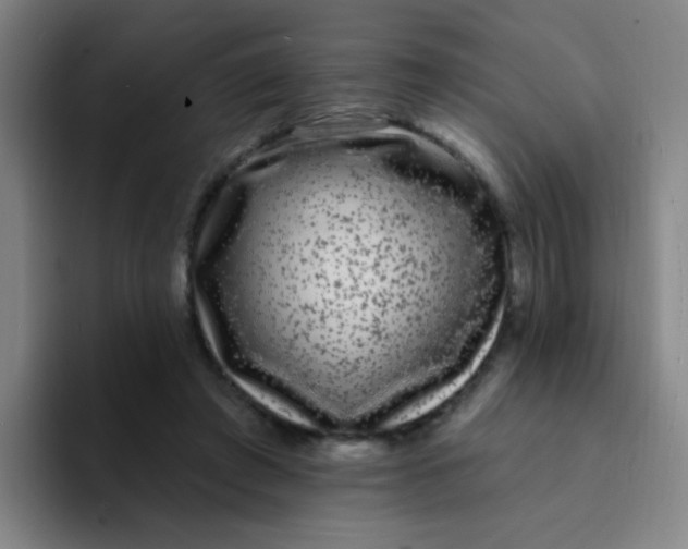 X0000094230401200711161913