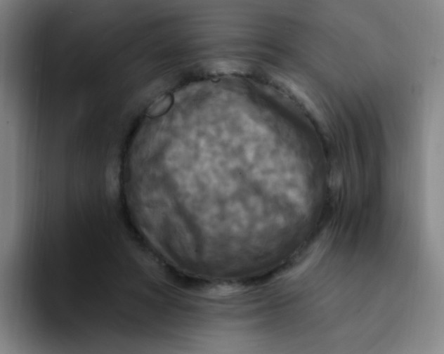 X0000094230402200711161913