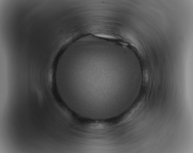 X0000094230404200711161913
