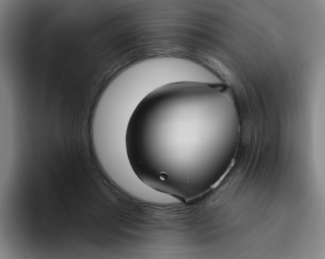 X0000094230405200711161913