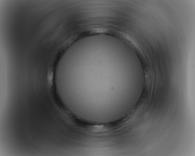 X0000094230406200711161913