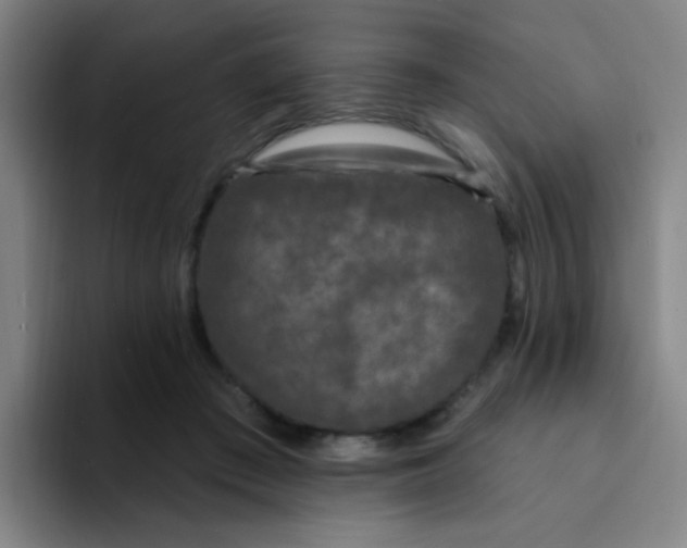 X0000094230409200711161913