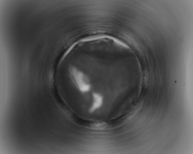X0000094230410200711161913