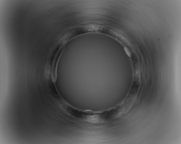 X0000094230411200711161913