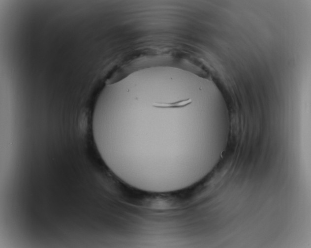 X0000094230412200711161913