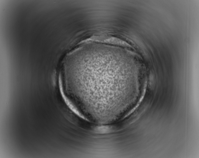 X0000094230413200711161913