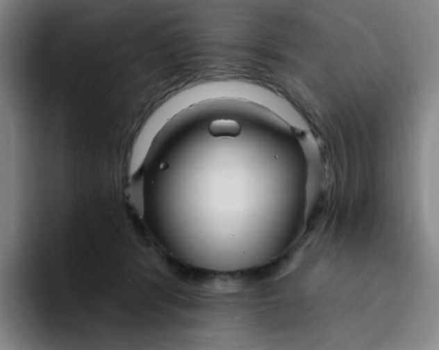 X0000094230416200711161913