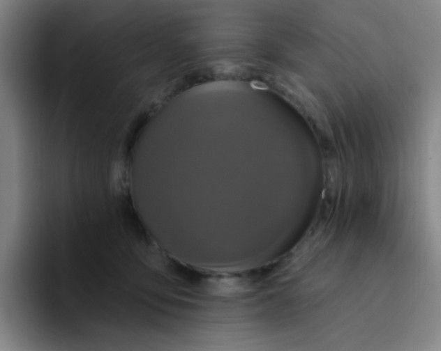 X0000094230419200711161913