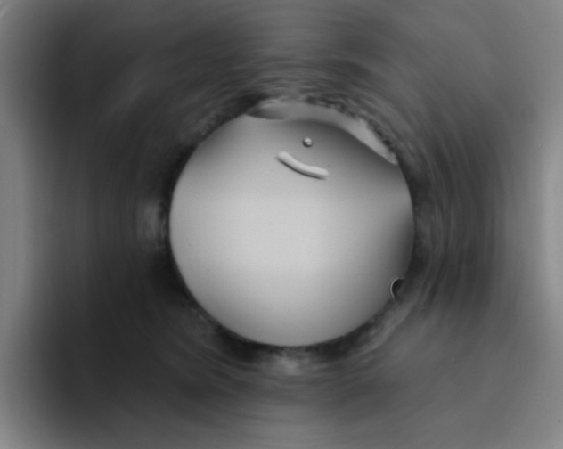 X0000094230420200711161913