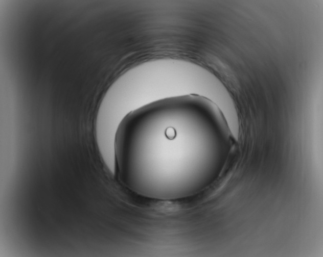 X0000094230421200711161913