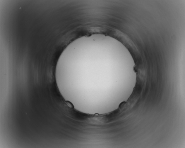 X0000094230422200711161913