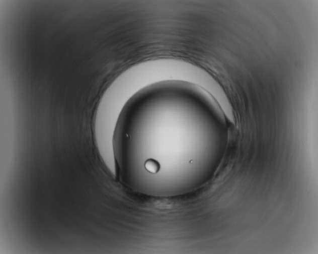 X0000094230423200711161913
