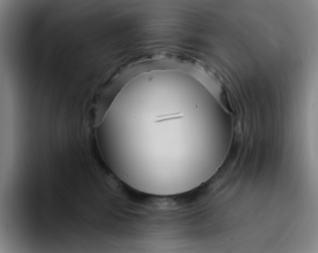 X0000094230424200711161913