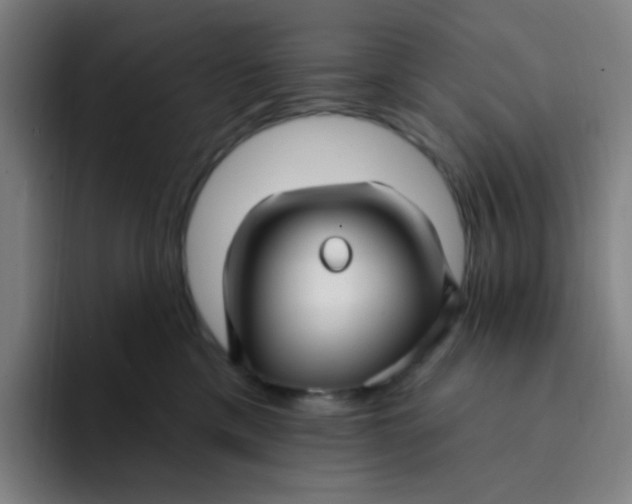 X0000094230425200711161913