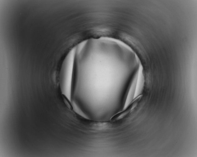X0000094230428200711161913