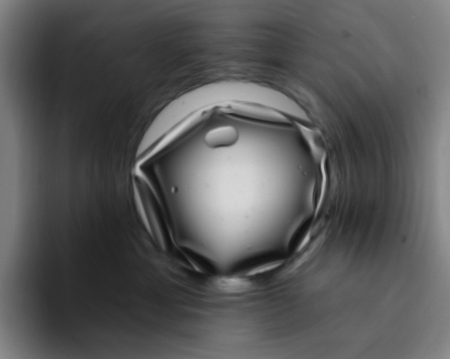 X0000094230429200711161913
