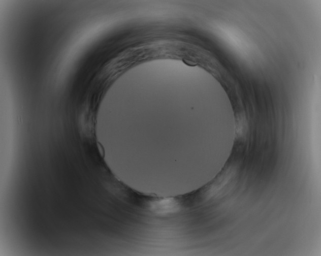 X0000094230431200711161913