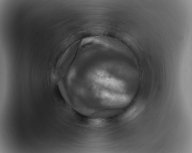 X0000094230432200711161913