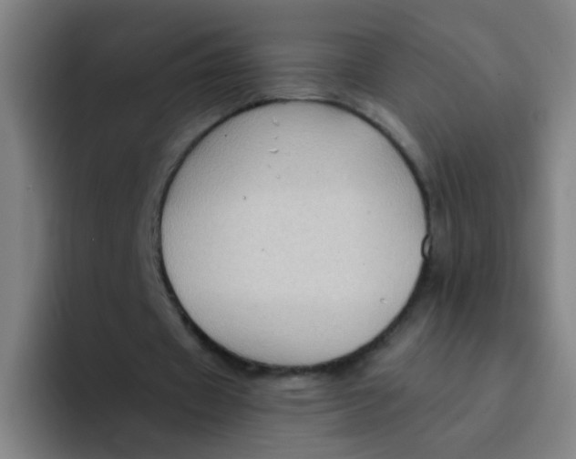 X0000094230433200711161912