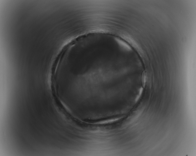 X0000094230434200711161912