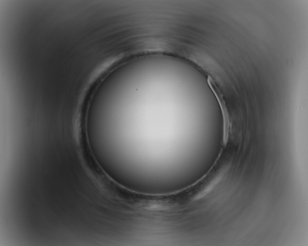 X0000094230436200711161912