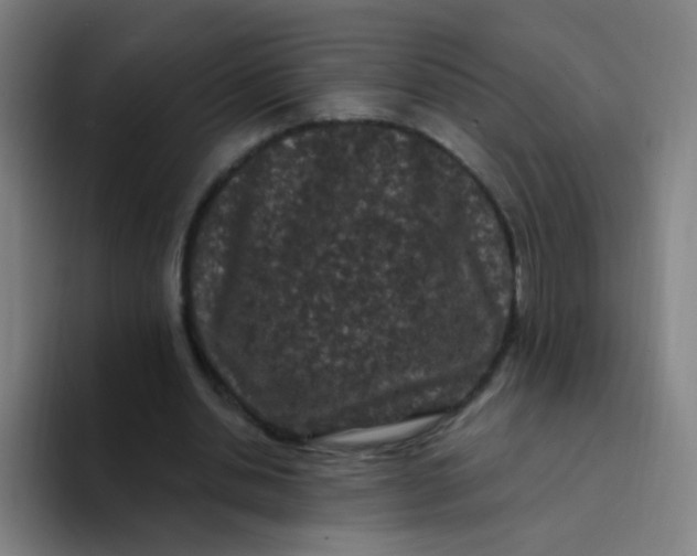 X0000094230438200711161912