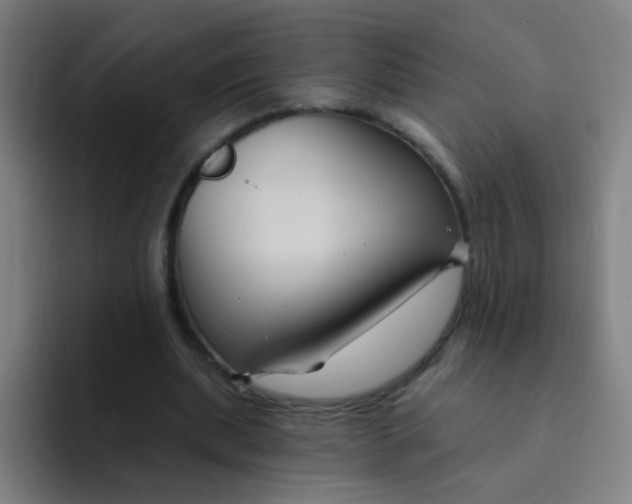 X0000094230439200711161912