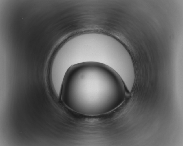 X0000094230440200711161912