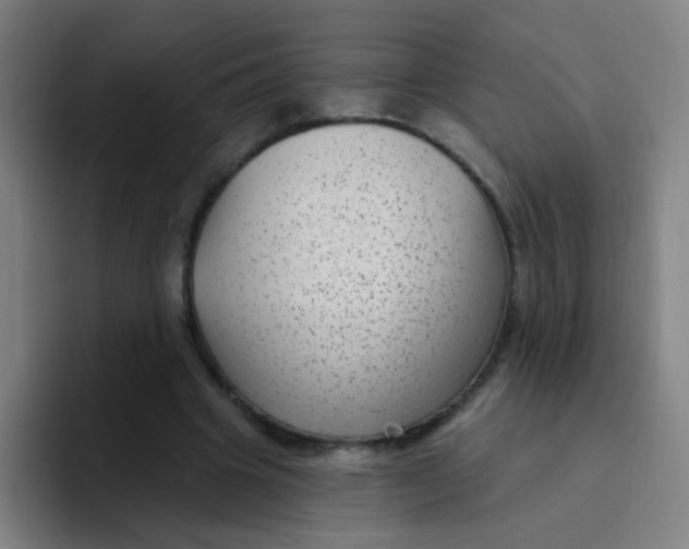 X0000094230441200711161912