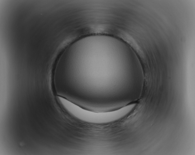 X0000094230442200711161912