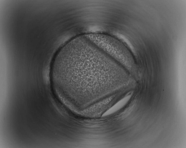 X0000094230443200711161912