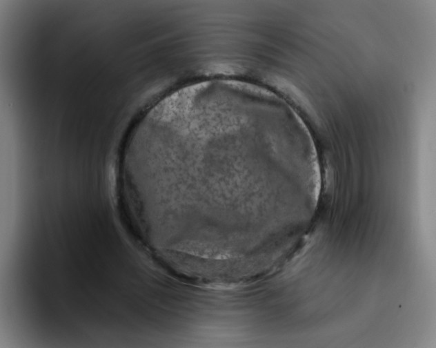 X0000094230444200711161912