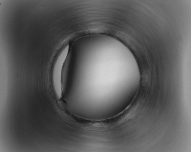 X0000094230446200711161912