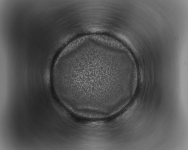X0000094230447200711161912