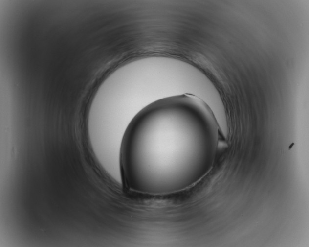 X0000094230448200711161912