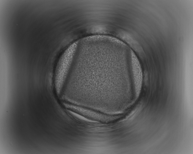 X0000094230449200711161912