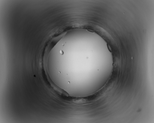 X0000094230452200711161912