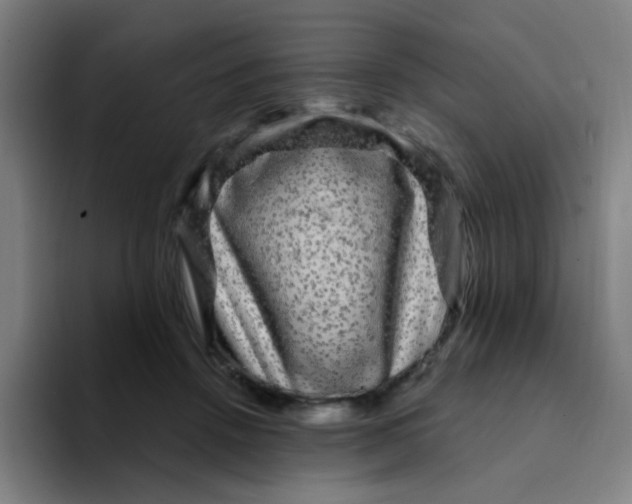 X0000094230456200711161913